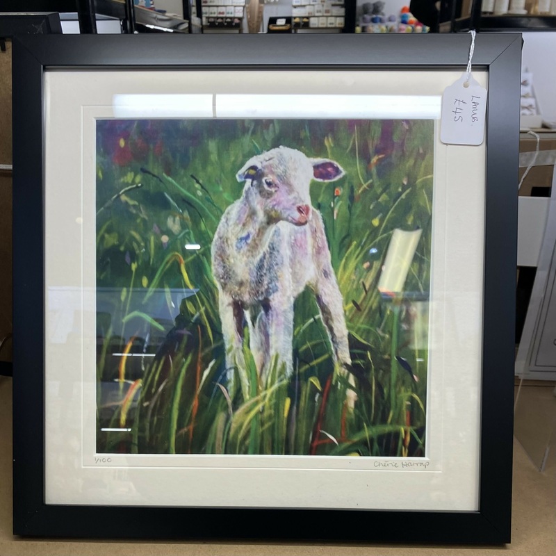 Lamb. Framed Giclee Print