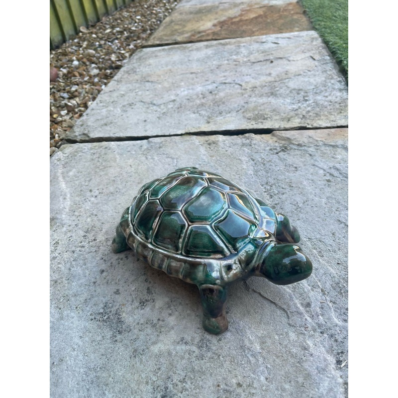 Myrtle the Turtle