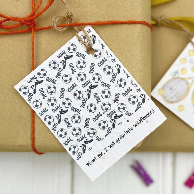 Set of Four Seed Card Gift Tags – Football Design