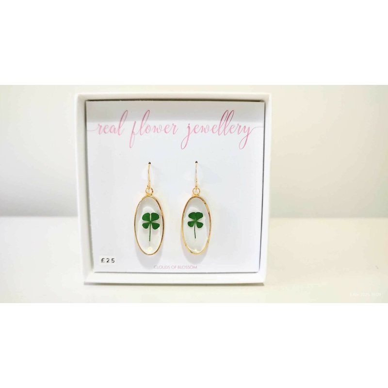 Clover Oval Earrings Gold Plated