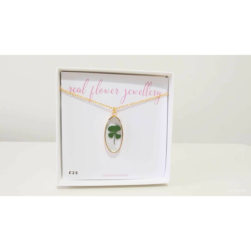 Clover Oval Gold Plated Necklace