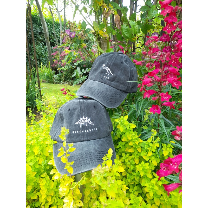 Dinosaur Cap|T-Rex|Stegosaurus