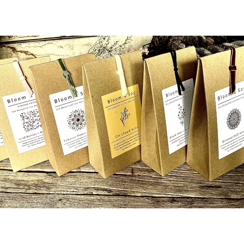 THE LITTLE SNUG 6 BOTANICAL SOY WAX MELTS