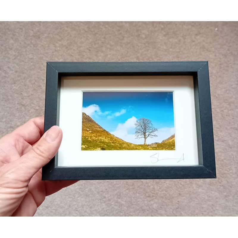 Sycamore Gap Mini Oblong Frame