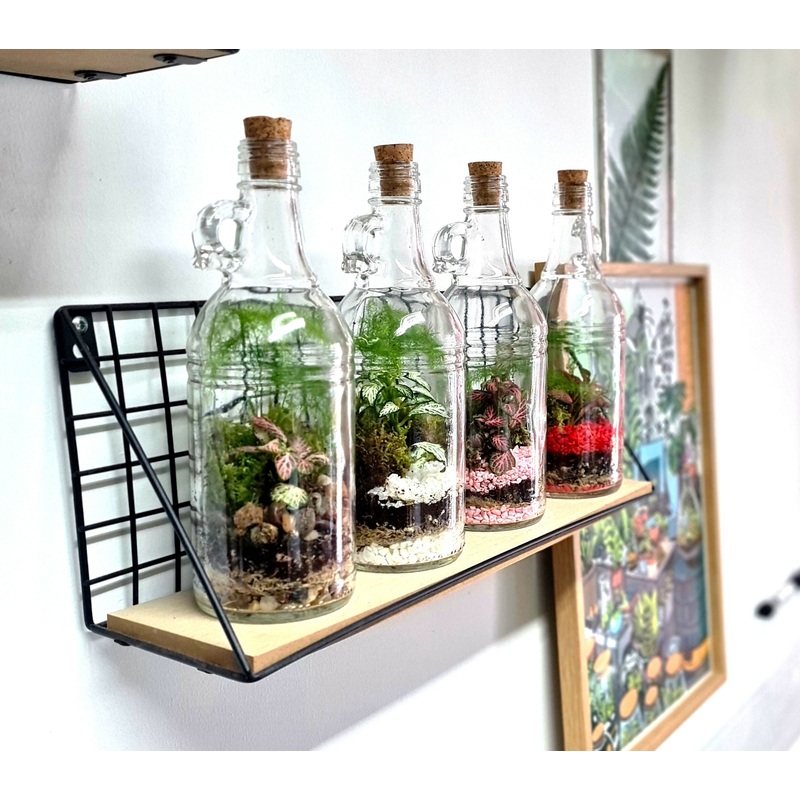 500ml Classic Demijohn|Natural Pebbles|White Pebbles|Pink Pebbles|Red Pebbles