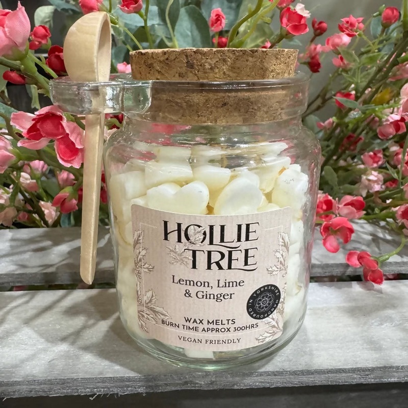 Lemon, Lime & Ginger Melting Pot Wax Melts