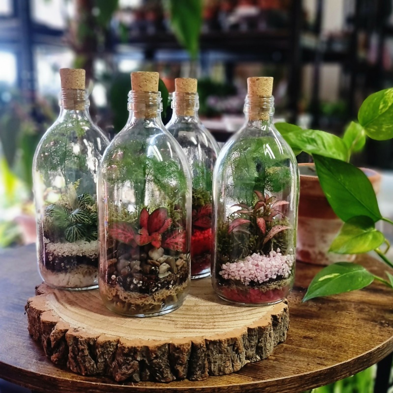 500ml Milk Bottle Terrarium|Red Pebbles|Natural Pebbles|White Pebbles|Pink Pebbles