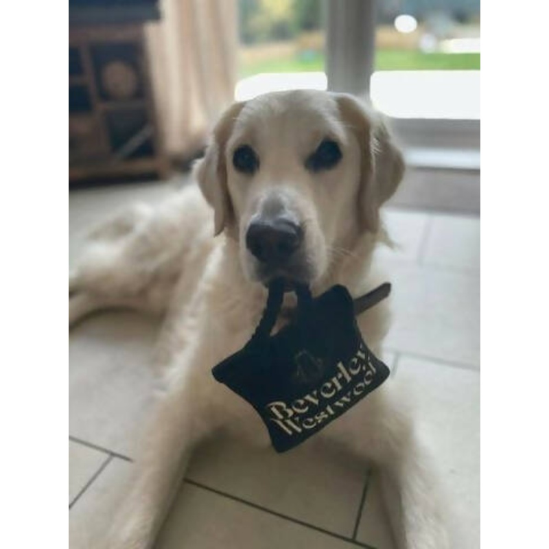 Beverley Westwoof Handbag Toy