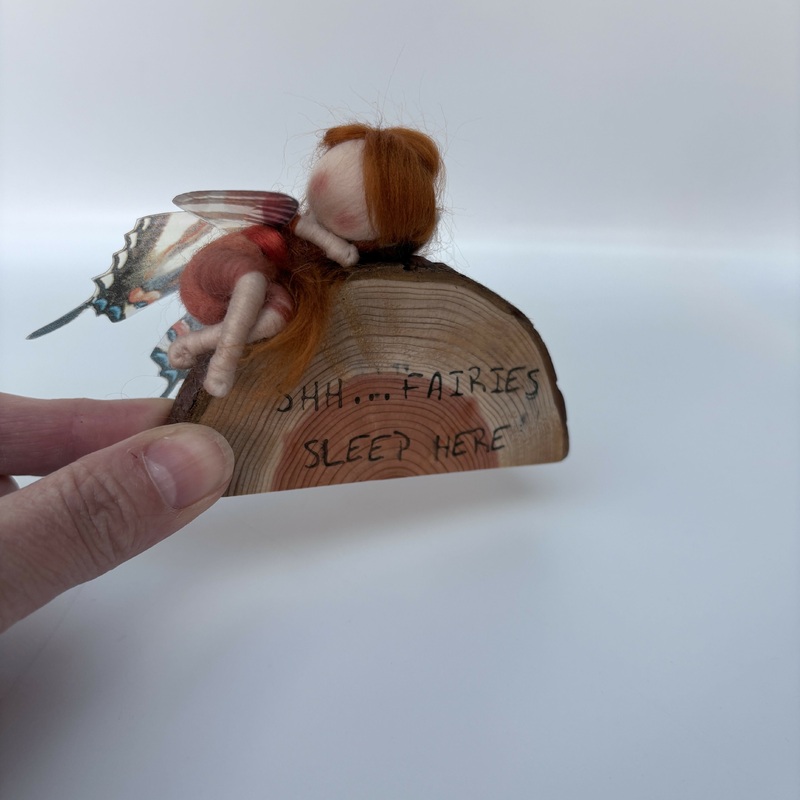 ShhFairies Sleep Here