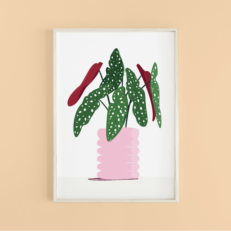 Begonia Plant Print A4