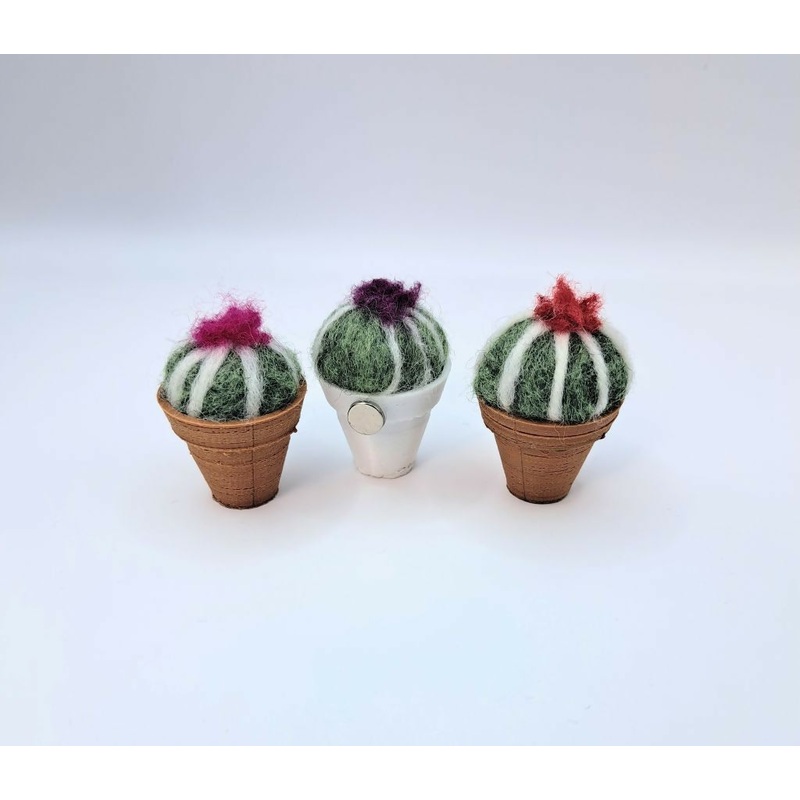 Cacti Magnet