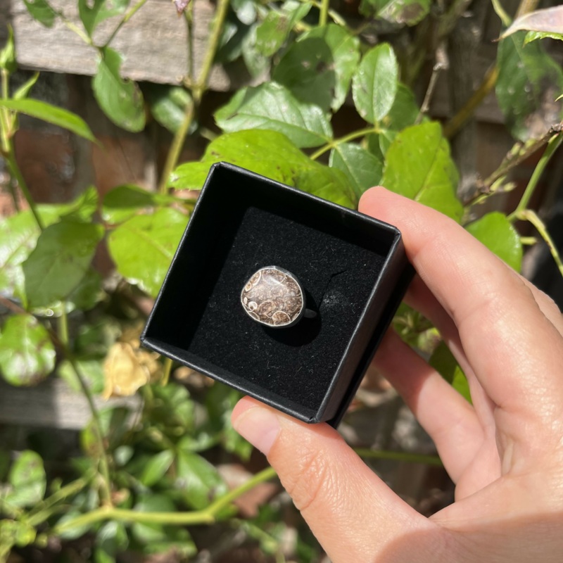 Fossil Ring