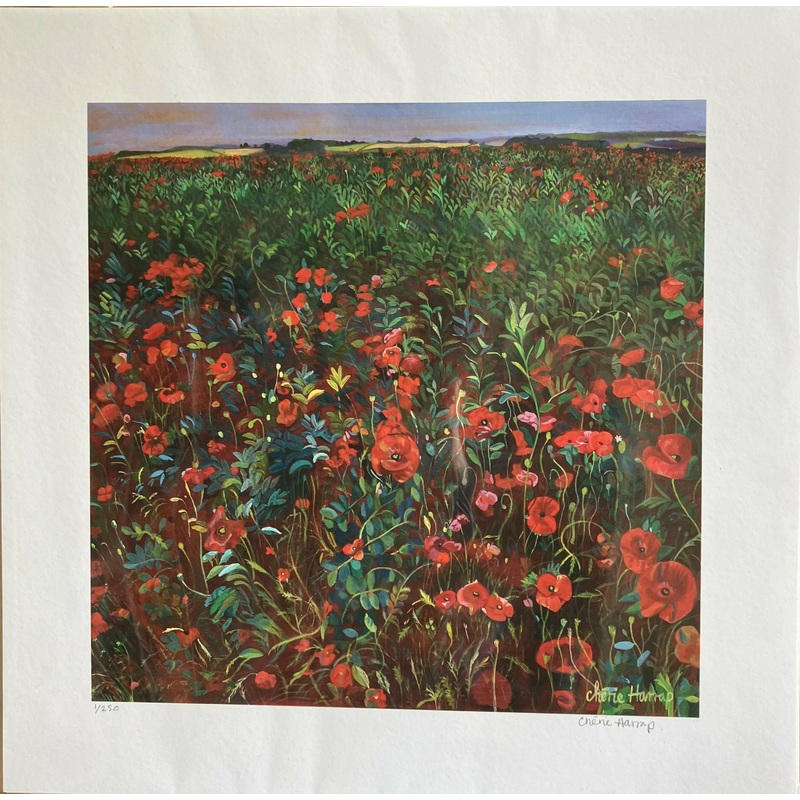 Poppies – 12 x 12 Limited Edition Giclee Print