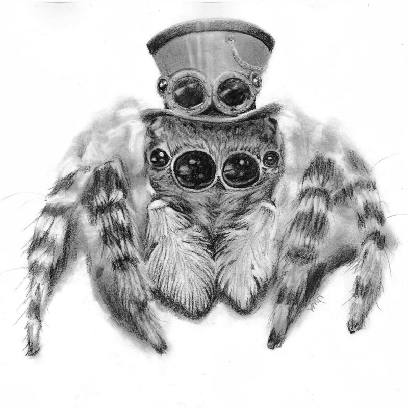 Steampunk Jumping Spider Art Print