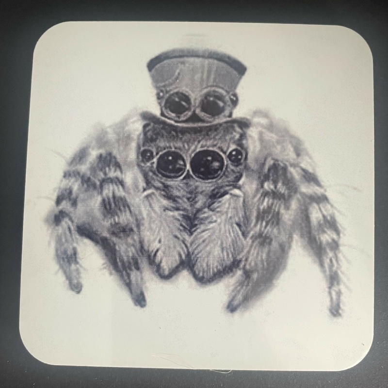 Steampunk Jumping Spider Coaster