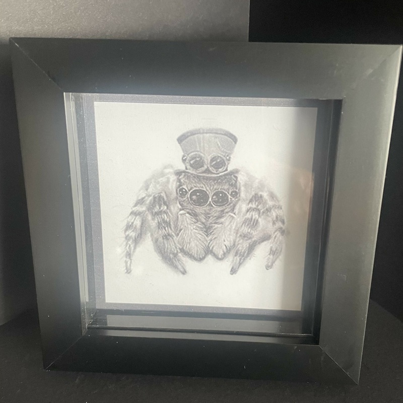 Steampunk Jumping Spider Mini Print and Frame