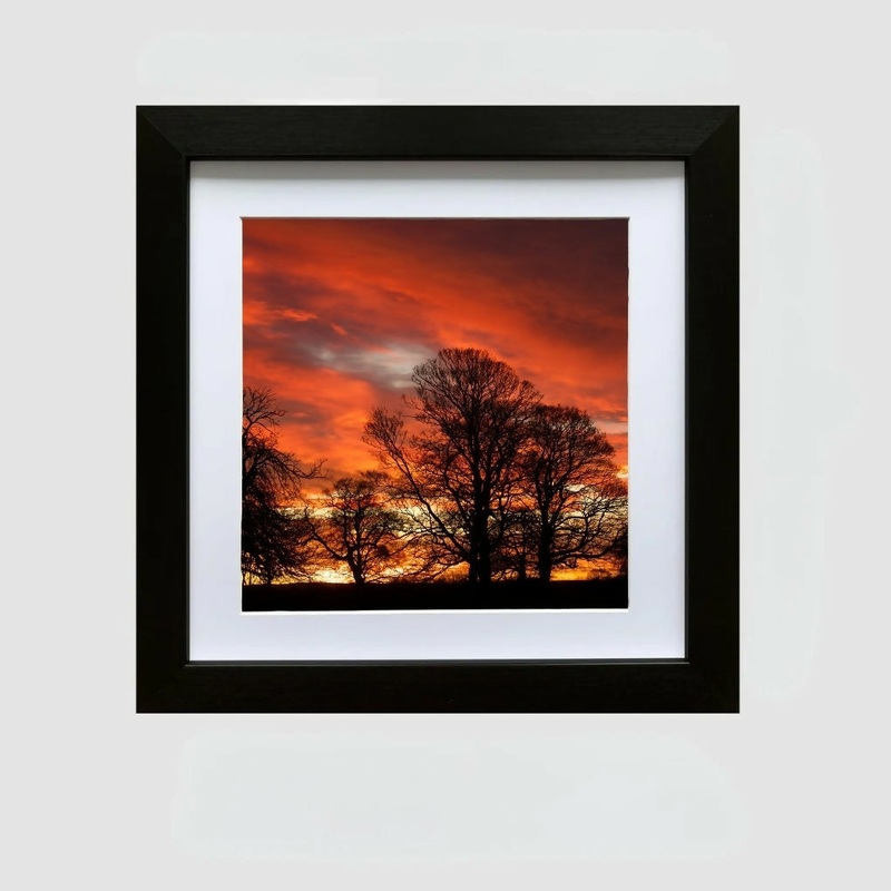 WOODLAND SUNSET – FRAMED PHOTOGRAPHIC PRINT