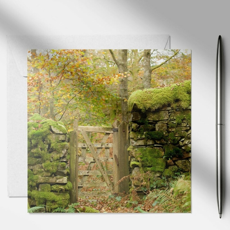 WOODLAND WALK – PHOTOGRAPHIC GREETING CARD OF A WOODLAND GATE IN MOSSY STONE WALL