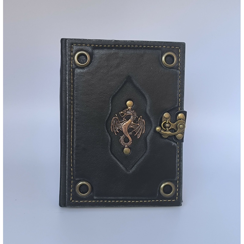 Dragon Medium Notebook with Plain Paper