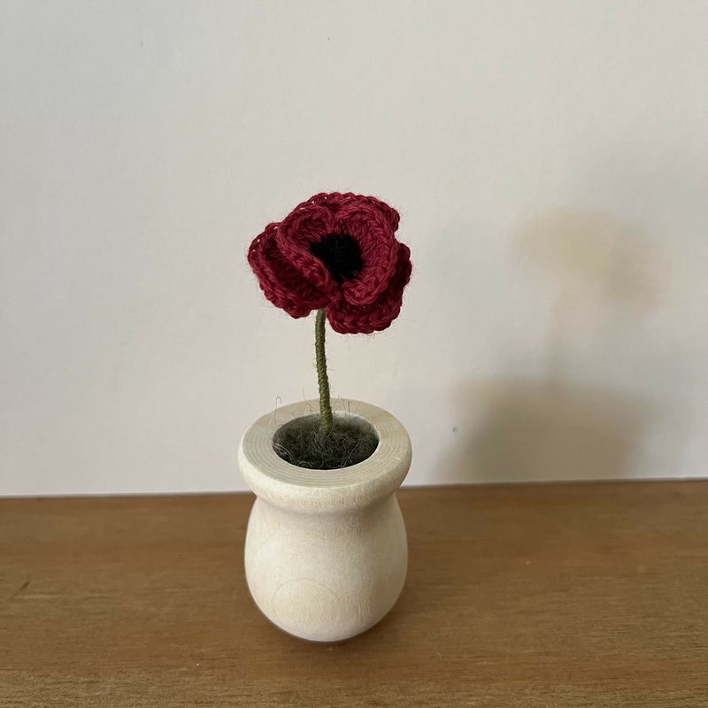 Poppy in Wooden Pot
