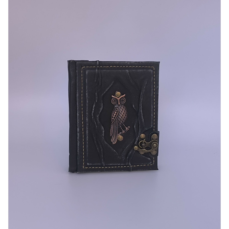 Wise Owl Small Notebook with Plain Paper