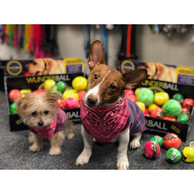 Wunderball Best Fetch Toy|Sm (1-20 lbs.)|Med (21-60 lbs.)|Lg (61-100 lbs.)|XL (over 100 lbs.)