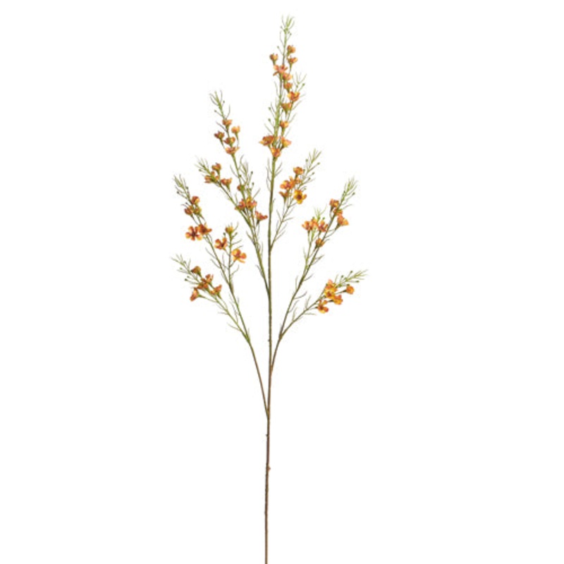 Yellow Waxflower Spray -44