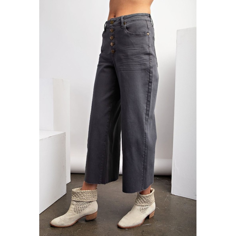 Easel Button Front Stretch Twill Pants -Ash Grey