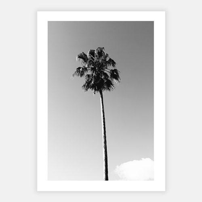 Palm One|E – 500 x 760|F – 660 x 1000|G – 850 x 1300|Photographic Paper|Rag Paper|Canvas|None|Black|White|Scandi