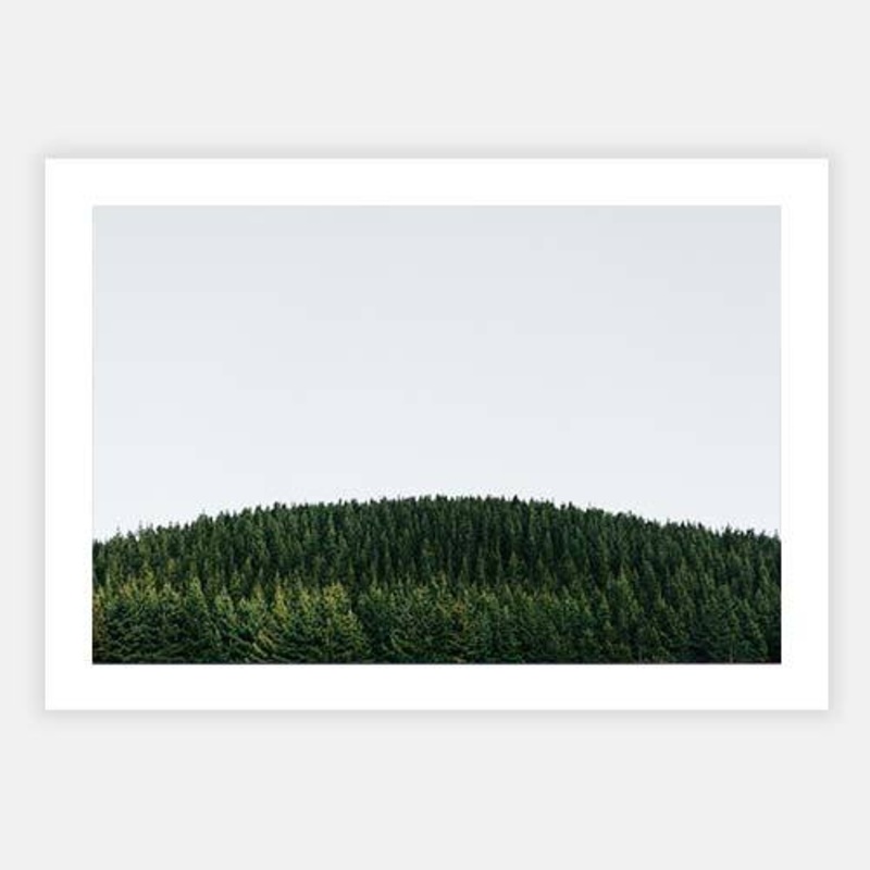 Trees Two|E – 500 x 760|F – 660 x 1000|G – 850 x 1300|Photographic Paper|Rag Paper|Canvas|None|Black|White|Scandi