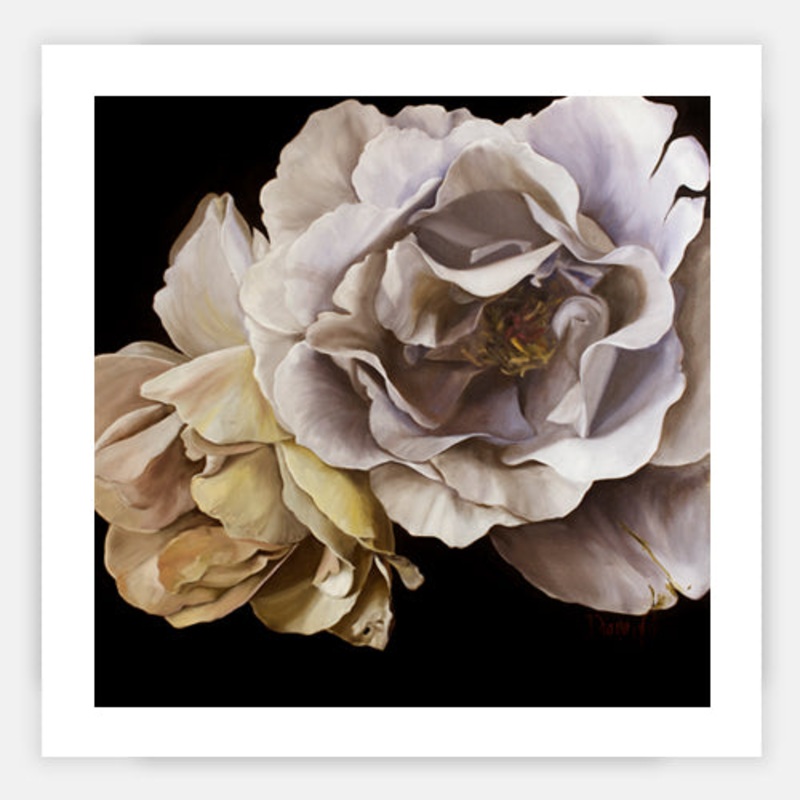 Amalfi|880 x 880|Rag Paper|None|Black Wedge Wood Frame