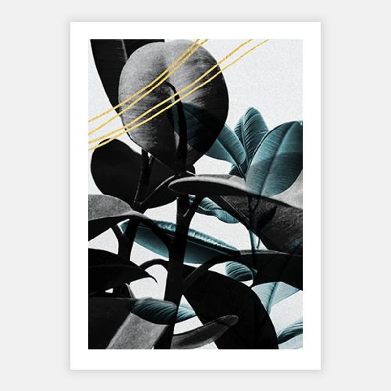 Beryl III|C – 400 x 500|D – 500 x 600|E – 600 x 760|F – 760 x 1000|G – 1000 x 1300|Matt Photographic Paper|Canvas|None|Black|White|Scandi