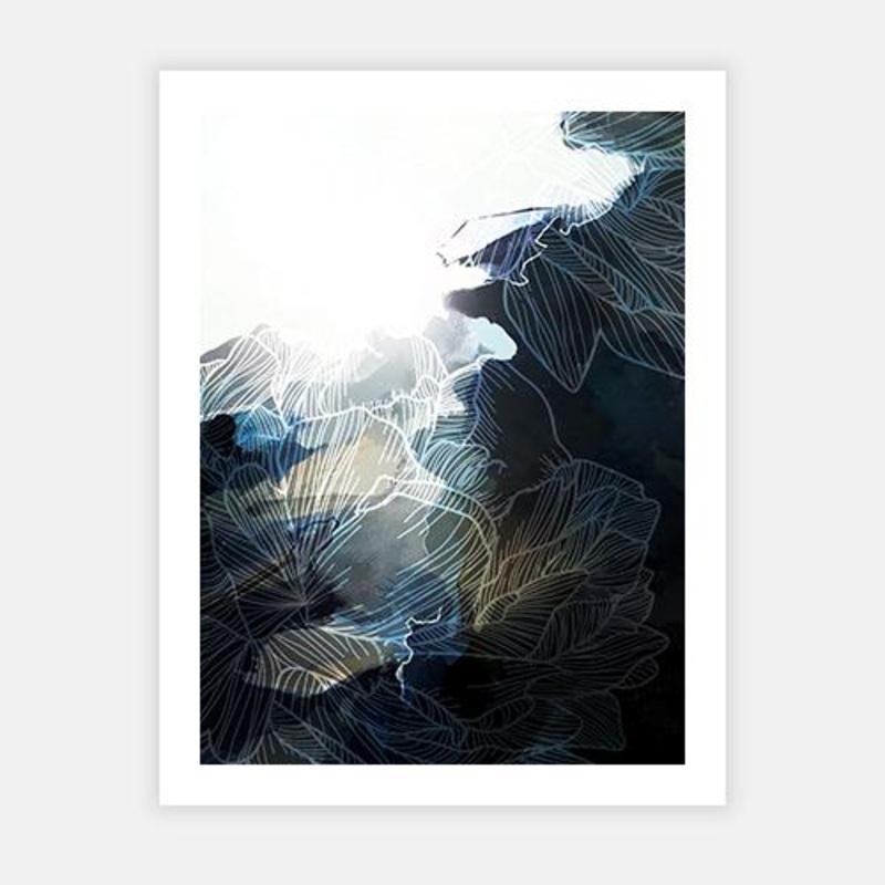 Burgeon III|C – 400 x 500|D – 500 x 600|E – 600 x 760|F – 760 x 1000|G – 1000 x 1300|Matt Photographic Paper|Canvas|None|Black|White|Scandi