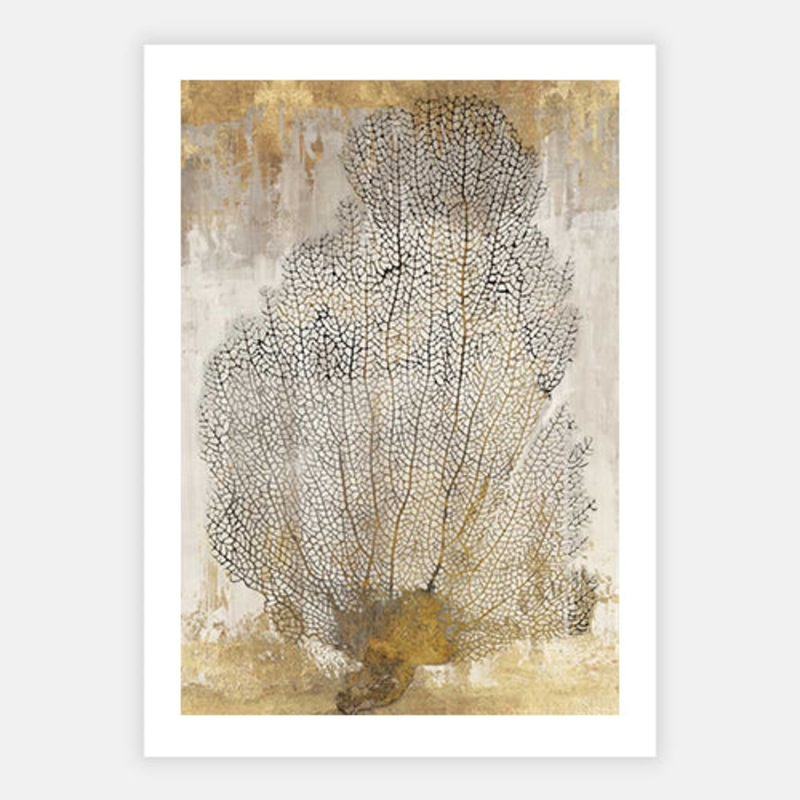 Coral Splendor II|C – 400 x 500|D – 500 x 600|E – 600 x 760|F – 760 x 1000|Matt Photographic Paper|None|White|Black|Scandi