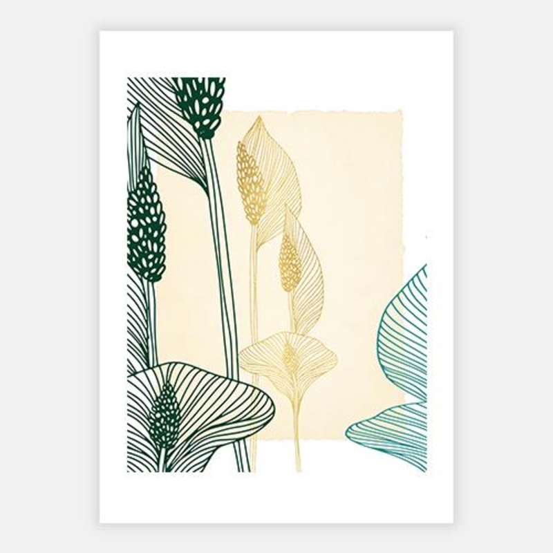 Drus V|C – 400 x 500|D – 500 x 600|E – 600 x 760|F – 760 x 1000|G – 1000 x 1300|Matt Photographic Paper|Canvas|None|Black|White|Scandi