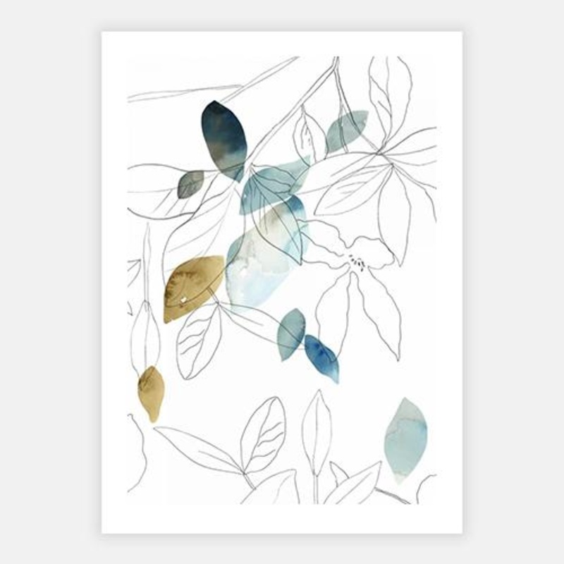 Frond II|C – 400 x 500|D – 500 x 600|E – 600 x 760|F – 760 x 1000|Matt Photographic Paper|None|Black|White|Scandi