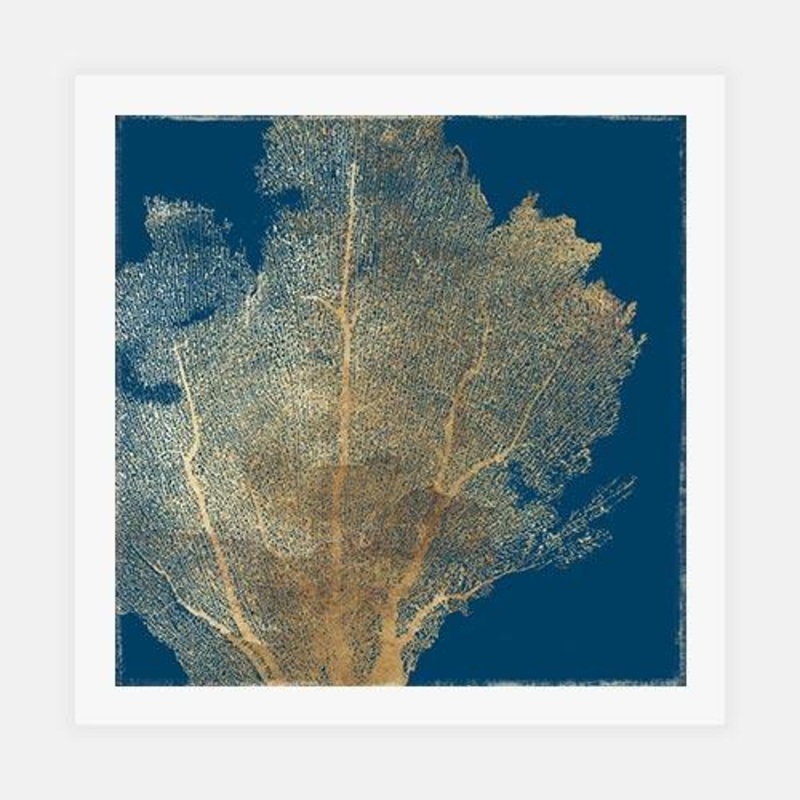 Gold Coral I|C – 400 x 400|D – 500 x 500|E – 600 x 600|Matt Photographic Paper|None|White|Black|Scandi