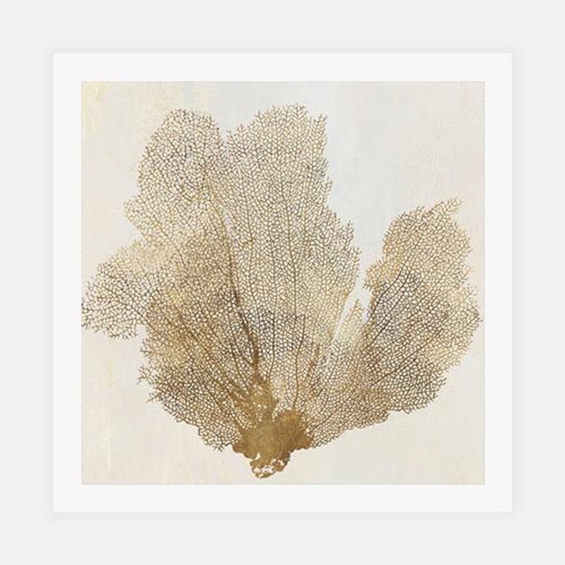 Luxe Coral I|C – 400 x 400|D – 500 x 500|E – 600 x 600|Matt Photographic Paper|None|Black|White|Scandi