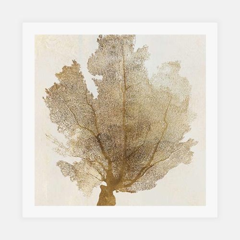 Luxe Coral II|C – 400 x 400|D – 500 x 500|E – 600 x 600|Matt Photographic Paper|None|White|Black|Scandi