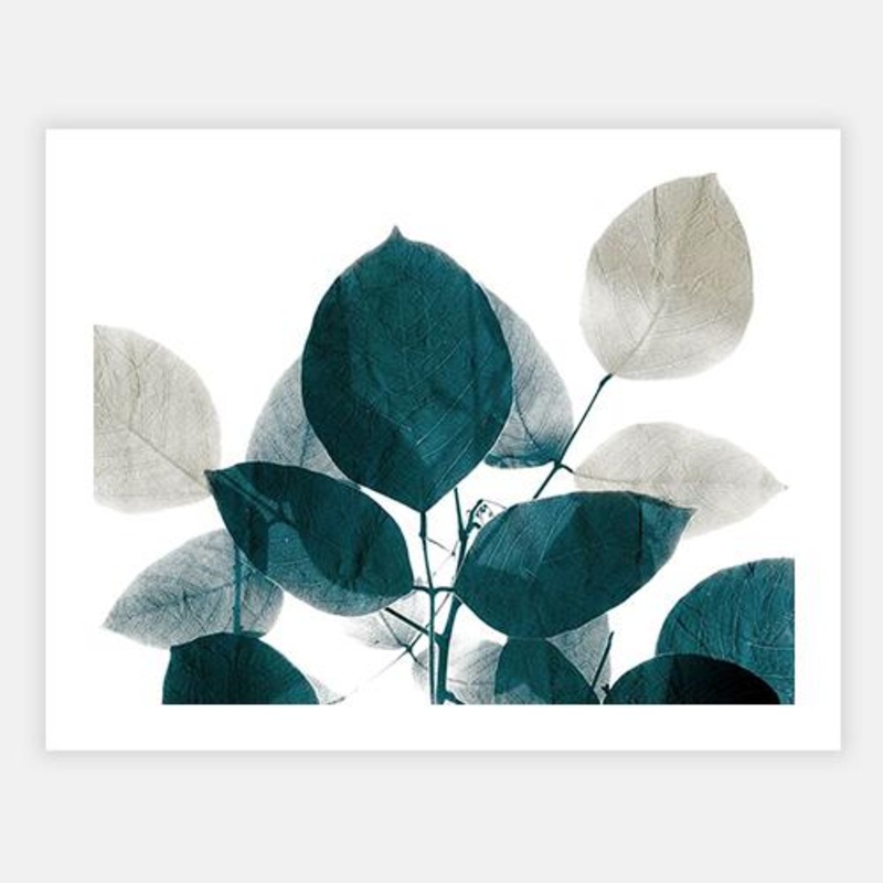 Midnight Leaves 1|C – 400 x 500|D – 500 x 600|E – 600 x 760|F – 760 x 1000|Matt Photographic Paper|None|Black|White|Scandi