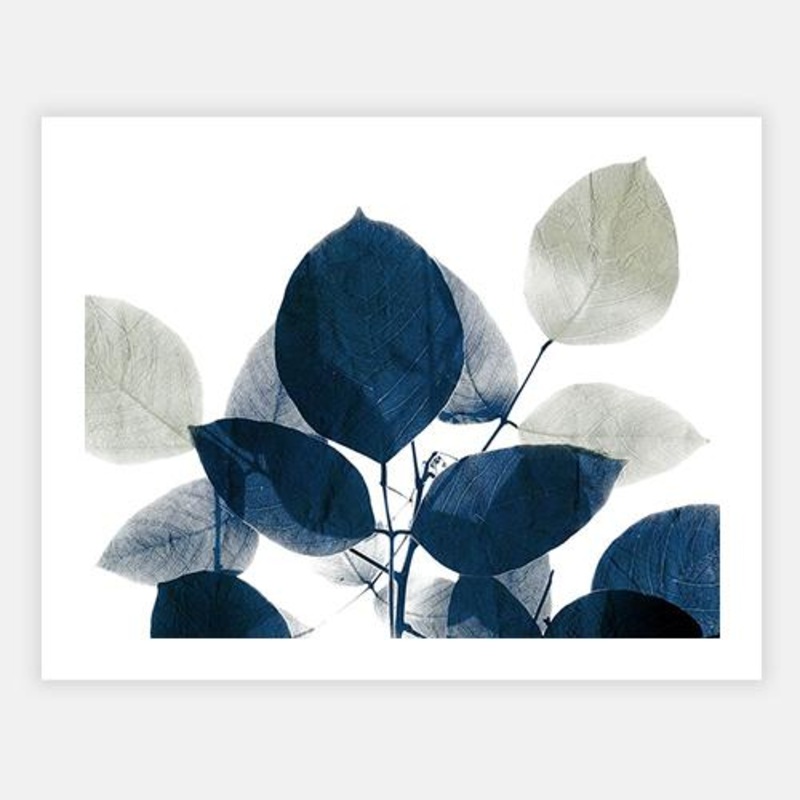 Midnight Leaves 1a|C – 400 x 500|D – 500 x 600|E – 600 x 760|F – 760 x 1000|Matt Photographic Paper|None|White|Black|Scandi