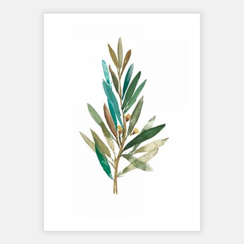 Olive III|C – 400 x 500|D – 500 x 600|E – 600 x 760|F – 760 x 1000|Matt Photographic Paper|None|White|Black|Scandi