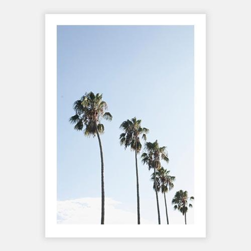Palm 2|C – 400 x 500|D – 500 x 600|E – 600 x 760|F – 760 x 1000|G – 1000 x 1300|Matt Photographic Paper|Canvas|None|White|Black|Scandi