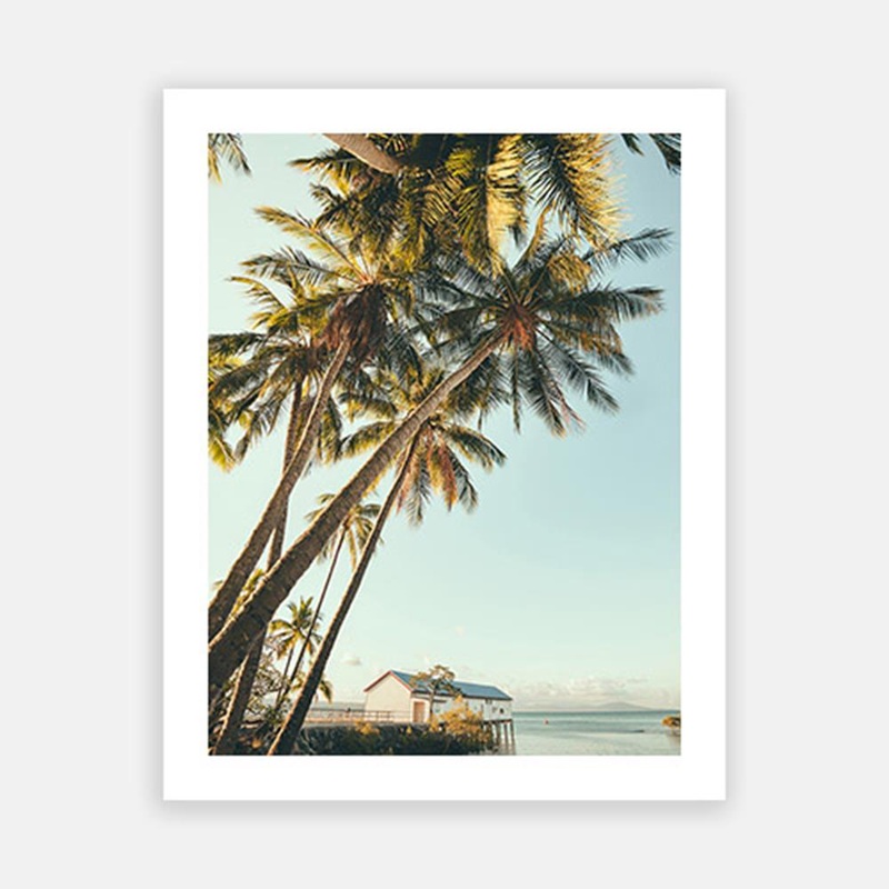 Port Douglas Palm|C – 400 x 500|D – 500 x 600|E – 600 x 760|F – 760 x 1000|G – 1000 x 1300|Matt Photographic Paper|Canvas|None|White|Black|Scandi