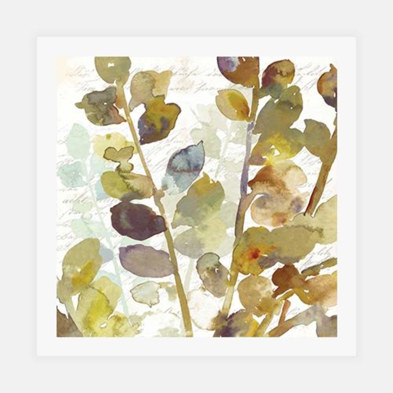 Solarium II|C – 400 x 400|D – 500 x 500|E – 600 x 600|F – 760 x 760|Matt Photographic Paper|None|White|Black|Scandi