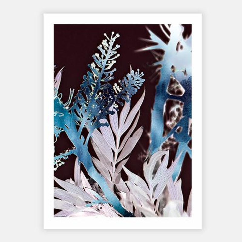 Tassel III|C – 400 x 500|D – 500 x 600|E – 600 x 760|F – 760 x 1000|G – 1000 x 1300|Matt Photographic Paper|Canvas|None|Black|White|Scandi