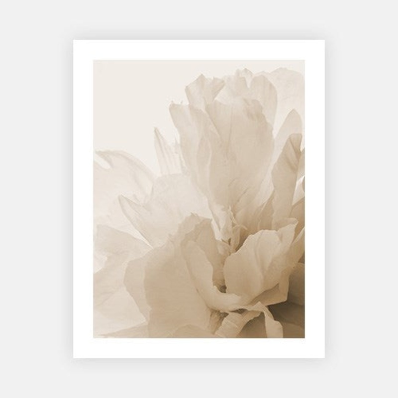 Blooming Flower|C – 400 x 500|D – 500 x 600|E – 600 x 760|F – 760 x 1000|G – 1000 x 1300|Matt Photographic Paper|Canvas|None|White|Black|Scandi