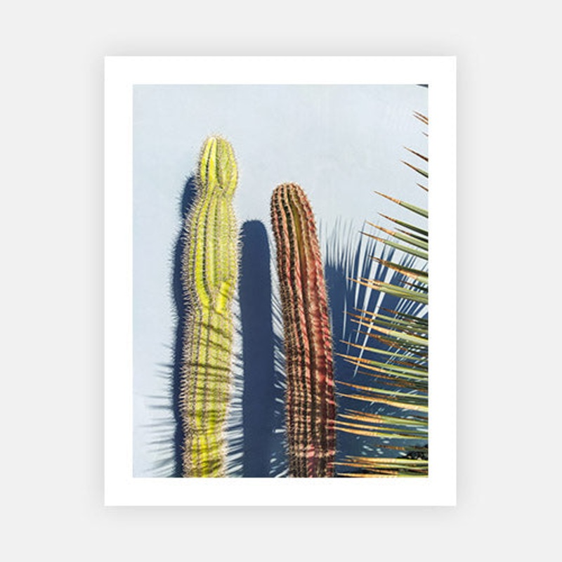 Cactus Shadows|C – 400 x 500|D – 500 x 600|E – 600 x 760|F – 760 x 1000|G – 1000 x 1300|Matt Photographic Paper|Canvas|None|White|Black|Scandi