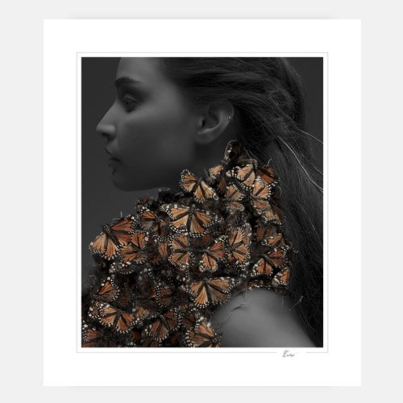 Girl with Butterflies|C – 400 x 500|D – 500 x 600|E – 600 x 760|F – 760 x 1000|G – 1000 x 1300|Matt Photographic Paper|None|White|Black|Scandi