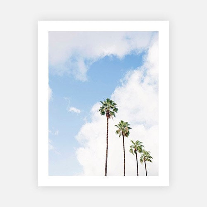 4 Palms|E – 600 x 760|F – 760 x 1000|G – 1000 x 1300|H – 1400 x 1900|Photographic Paper|Rag Paper|Canvas|None|White|Black|Scandi
